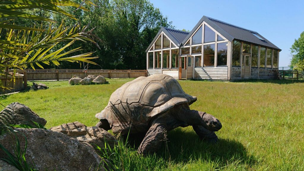 la ferme aux tortues Alligator Bay