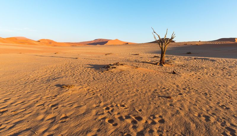 Namibie : tourisme dangereux ou destination de rêves ?