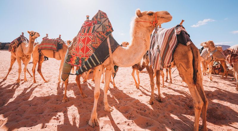 Maroc - Top 1 des destinations en Afrique